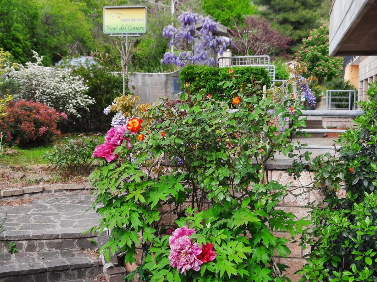 안코나 Fiori Del Conero 빌라 외부 사진